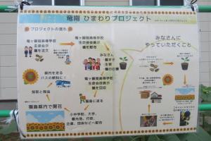 北コミひまわり