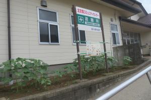 北コミひまわり(2)