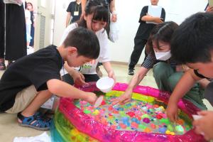 金魚